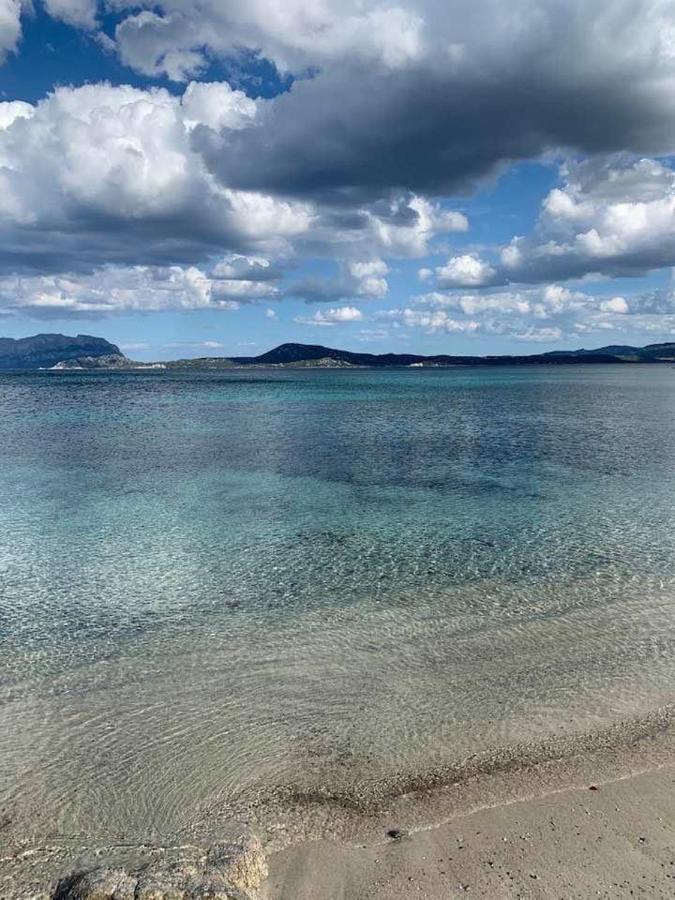 Rosa Dei Venti - Casa Maestrale - Sardegna - Iun R2217 Villa Олбия Екстериор снимка