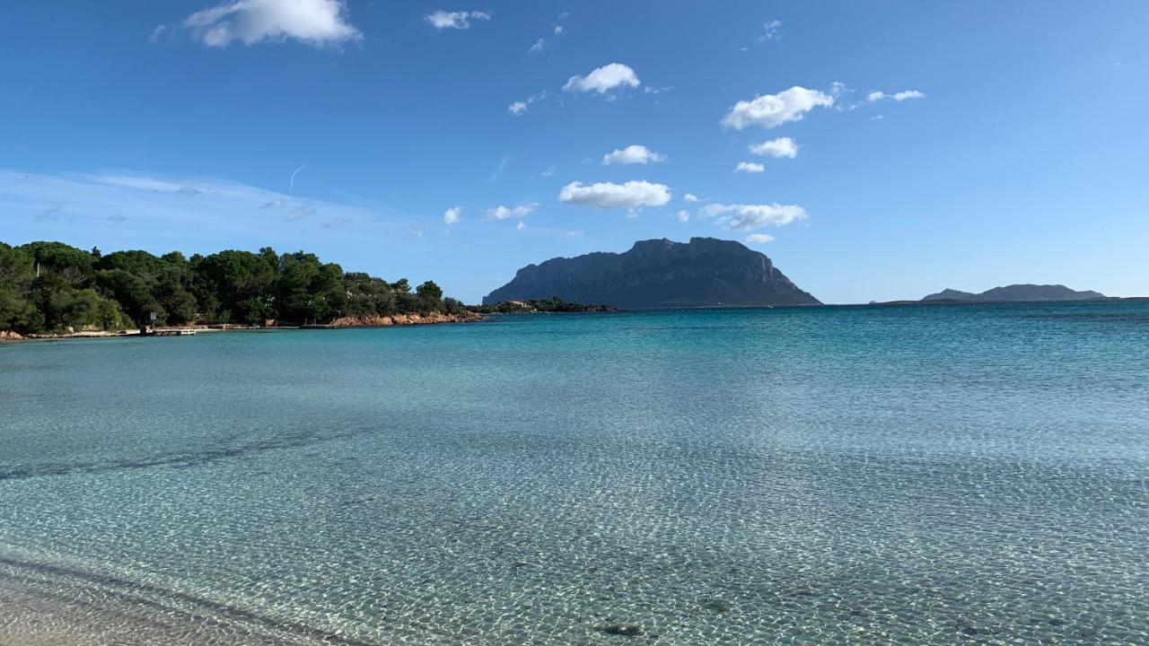 Rosa Dei Venti - Casa Maestrale - Sardegna - Iun R2217 Villa Олбия Екстериор снимка